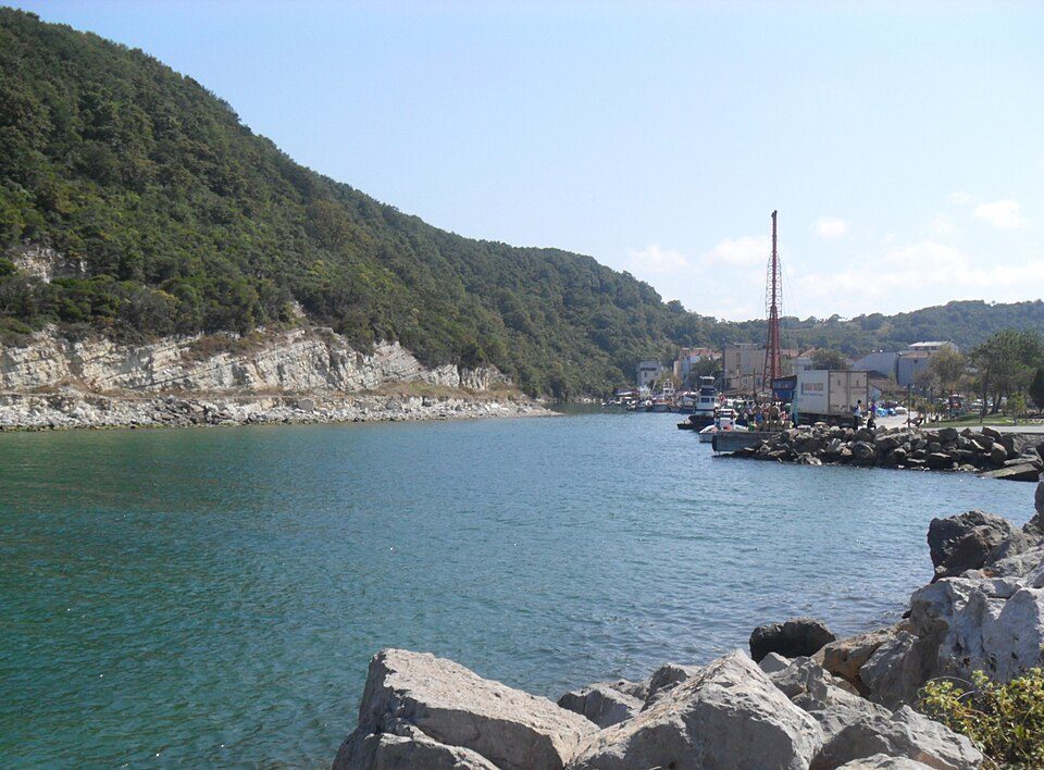 Boats moor beside the green banks at the mouth of the Yeşilçay River in Ağva.