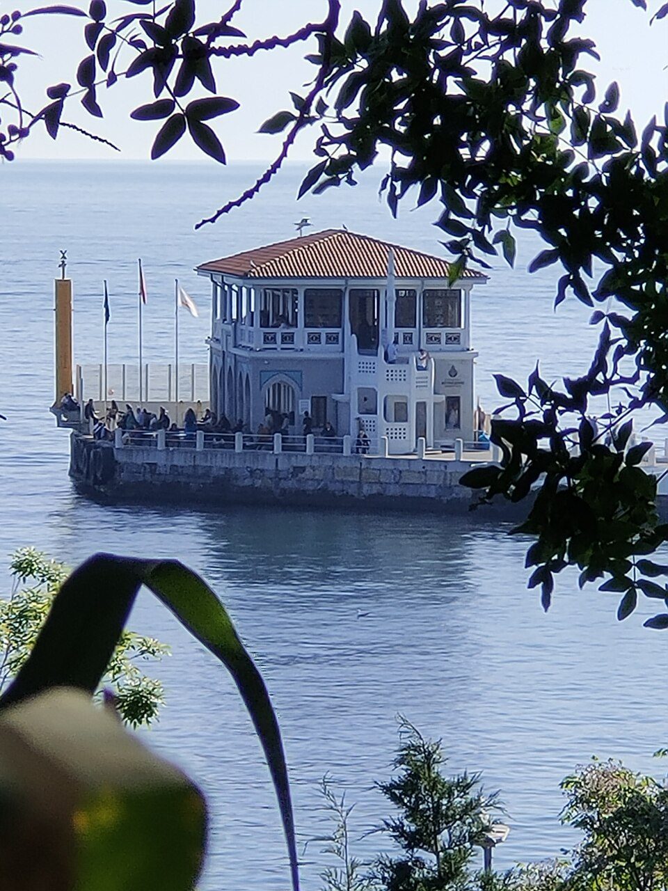 Moda Pier’s waterfront building seen across the water through branches.